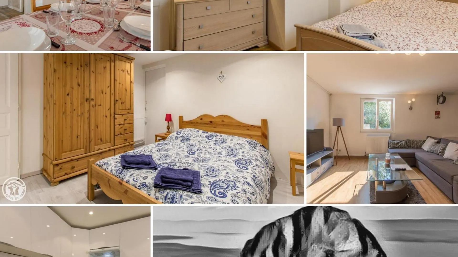 Apartment La Villa D'Oche -L'Appartement- Vinzier France